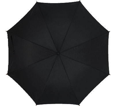 Зонт-трость с автоматическим включением (09-18040588.03)