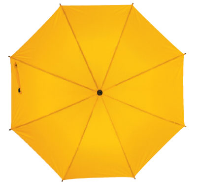 Зонт-трость с автоматическим включением (09-18040588.08)