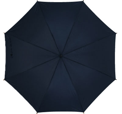 Зонт-трость с автоматическим включением (09-18040588.17)